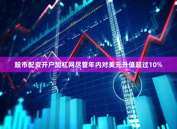 股市配资开户加杠网尽管年内对美元升值超过10%