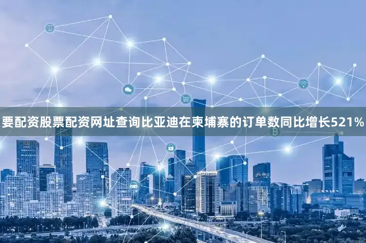 要配资股票配资网址查询比亚迪在柬埔寨的订单数同比增长521%