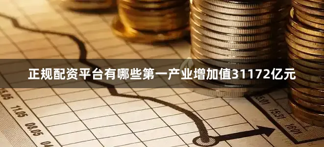 正规配资平台有哪些第一产业增加值31172亿元